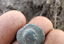 Rzymskie monety odnalezione na terenie Nadleśnictwa (GALERIA) denar-cesarze-Wespezjana