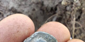 Rzymskie monety odnalezione na terenie Nadleśnictwa (GALERIA) denar-cesarze-Wespezjana