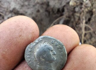 Rzymskie monety odnalezione na terenie Nadleśnictwa (GALERIA) denar-cesarze-Wespezjana