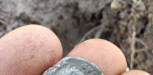 Rzymskie monety odnalezione na terenie Nadleśnictwa (GALERIA) denar-cesarze-Wespezjana