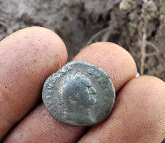 Rzymskie monety odnalezione na terenie Nadleśnictwa (GALERIA) denar-cesarze-Wespezjana