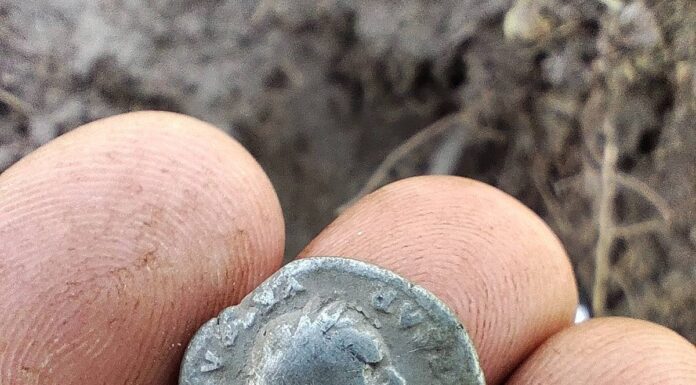 Rzymskie monety odnalezione na terenie Nadleśnictwa (GALERIA) denar-cesarze-Wespezjana