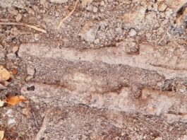 Depozyt broni w ziemiance z II WŚ (GALERIA) elementy broni przed wydobyciem