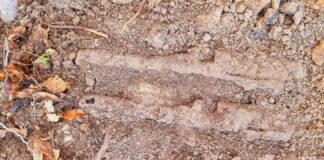 Depozyt broni w ziemiance z II WŚ (GALERIA) elementy broni przed wydobyciem