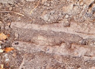 Depozyt broni w ziemiance z II WŚ (GALERIA) elementy broni przed wydobyciem