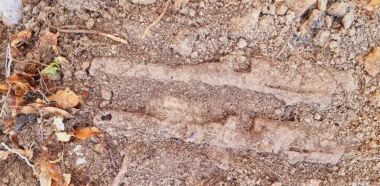 Depozyt broni w ziemiance z II WŚ (GALERIA) elementy broni przed wydobyciem