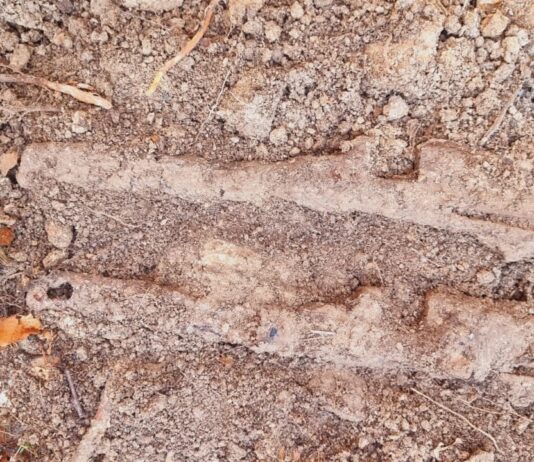 Depozyt broni w ziemiance z II WŚ (GALERIA) elementy broni przed wydobyciem