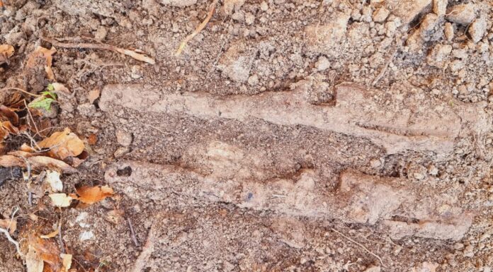 Depozyt broni w ziemiance z II WŚ (GALERIA) elementy broni przed wydobyciem