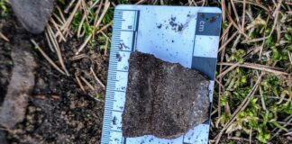 Pozostałości po pochówku ciałopalnym z okresu wpływów rzymskich! fragment ceramiki