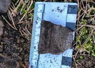 Pozostałości po pochówku ciałopalnym z okresu wpływów rzymskich! fragment ceramiki