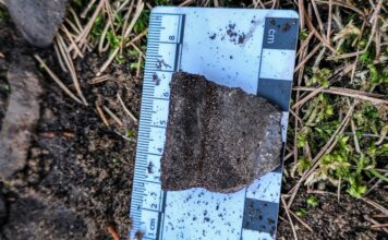 Pozostałości po pochówku ciałopalnym z okresu wpływów rzymskich! fragment ceramiki