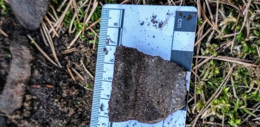 Pozostałości po pochówku ciałopalnym z okresu wpływów rzymskich! fragment ceramiki