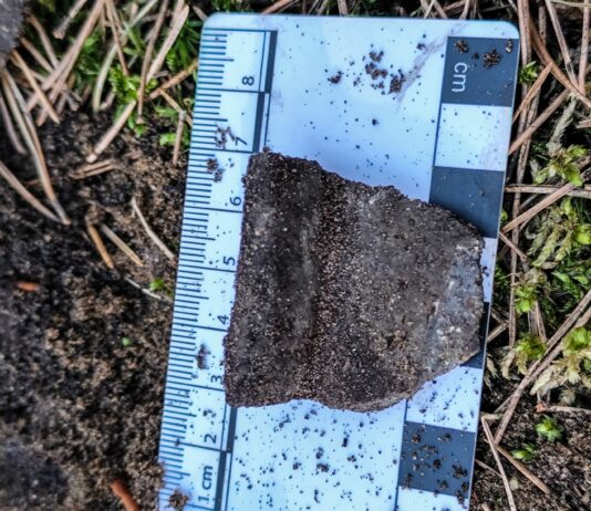 Pozostałości po pochówku ciałopalnym z okresu wpływów rzymskich! fragment ceramiki