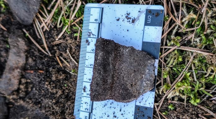 Pozostałości po pochówku ciałopalnym z okresu wpływów rzymskich! fragment ceramiki