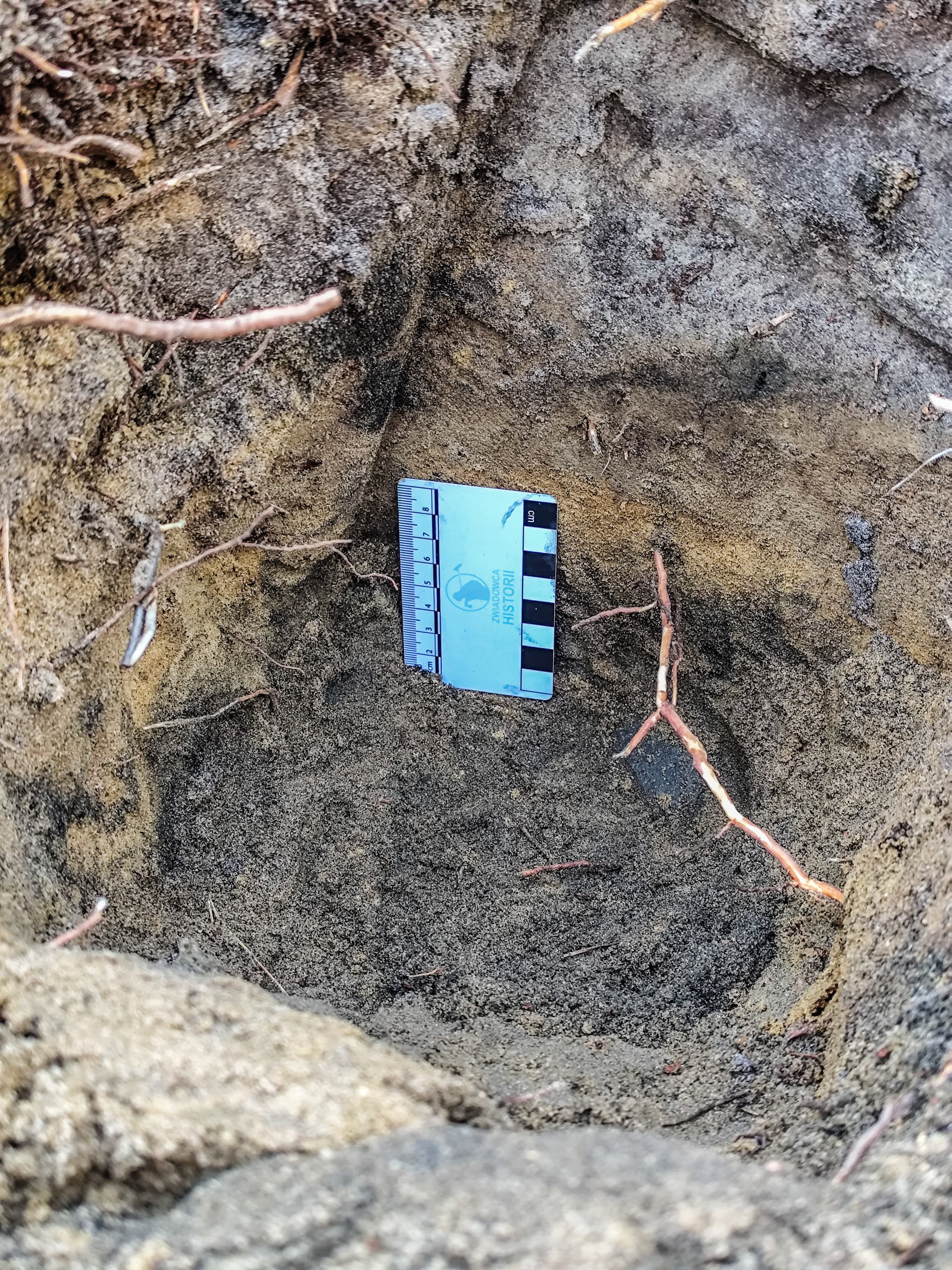 Pozostałości po pochówku ciałopalnym z okresu wpływów rzymskich!