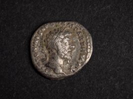 Rzymskie denary i inne zabytki archeologiczne. Ciekawe odkrycia z okolic Annopola (GALERIA) znalezisko archeologiczne Lubelski Wojewódzki Konserwator Zabytków