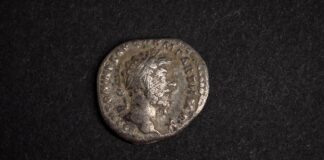 Rzymskie denary i inne zabytki archeologiczne. Ciekawe odkrycia z okolic Annopola (GALERIA) znalezisko archeologiczne Lubelski Wojewódzki Konserwator Zabytków