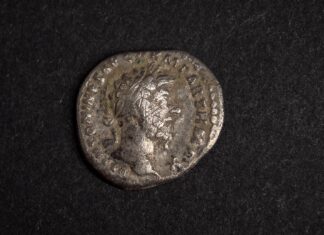 Rzymskie denary i inne zabytki archeologiczne. Ciekawe odkrycia z okolic Annopola (GALERIA) znalezisko archeologiczne Lubelski Wojewódzki Konserwator Zabytków