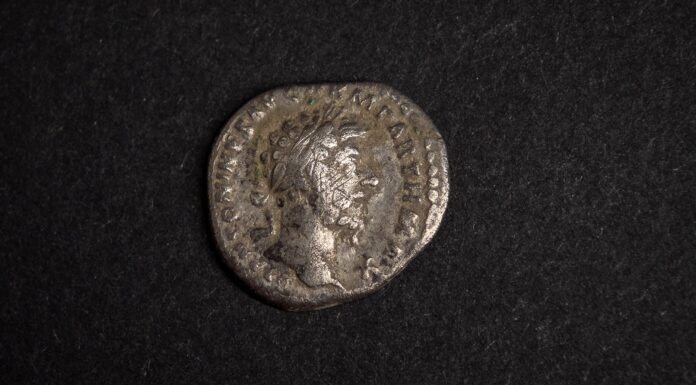 Rzymskie denary i inne zabytki archeologiczne. Ciekawe odkrycia z okolic Annopola (GALERIA) znalezisko archeologiczne Lubelski Wojewódzki Konserwator Zabytków