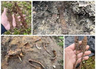 Poszukiwacze odkryli bogaty grób kultury przeworskiej (GALERIA) Grób ciałopalny odkrycie Stowarzyszenia Eksploracyjno-Historycznego Łowcy Historii Małopolska