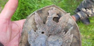 Orzeł z czako – wyjątkowe znalezisko z końca XVIII wieku! (GALERIA) Orzeł z czako 1791-1794