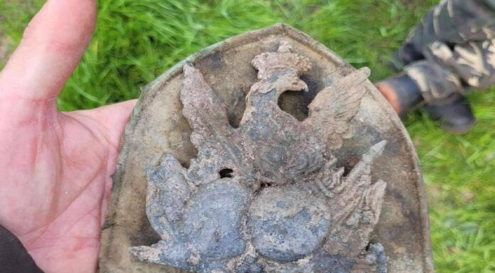 Orzeł z czako – wyjątkowe znalezisko z końca XVIII wieku! (GALERIA) Orzeł z czako 1791-1794