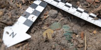 Skarb z Puszczy Knyszyńskiej odkryty przez pasjonatów (GALERIA) Skarb z Puszczy Knyszynskiej fot. Magna Silva - Grupa eksploracyjna przy Stowarzyszeniu "Wielki Las"