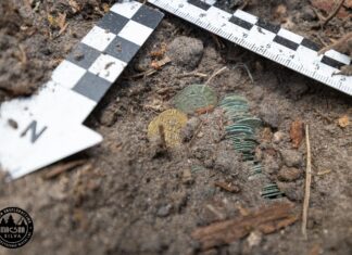 Skarb z Puszczy Knyszyńskiej odkryty przez pasjonatów (GALERIA) Skarb z Puszczy Knyszynskiej fot. Magna Silva - Grupa eksploracyjna przy Stowarzyszeniu "Wielki Las"