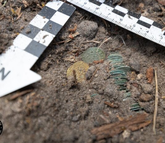 Skarb z Puszczy Knyszyńskiej odkryty przez pasjonatów (GALERIA) Skarb z Puszczy Knyszynskiej fot. Magna Silva - Grupa eksploracyjna przy Stowarzyszeniu "Wielki Las"