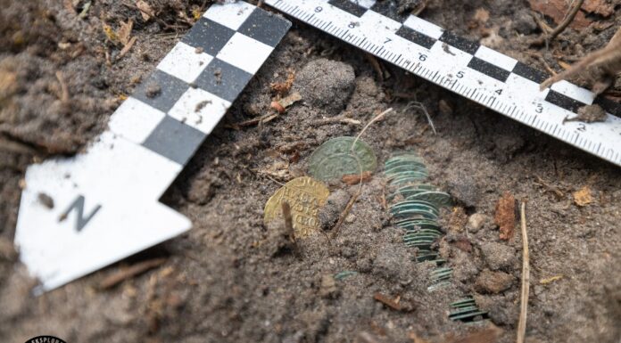 Skarb z Puszczy Knyszyńskiej odkryty przez pasjonatów (GALERIA) Skarb z Puszczy Knyszynskiej fot. Magna Silva - Grupa eksploracyjna przy Stowarzyszeniu "Wielki Las"