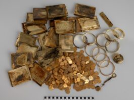 Czechy. Na spacerze odkryli ponad 7 kg złota! (GALERIA) Depozyt ze złotym skarbem odkryty w Czechach fot. Muzeum východních Čech v Hradci Králové