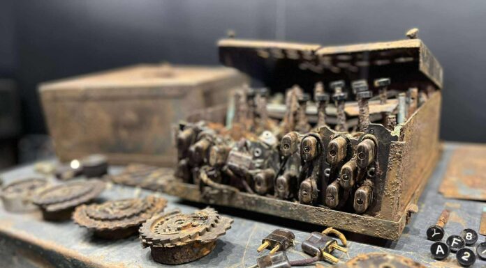Enigma 16.Dywizji Pancernej znaleziona na… bazarze! Niezwykła historia (GALERIA) Enigma
