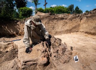 Niemiecka zbrodnia w Borównie. Odkryto masowy grób (GALERIA) prace badawcze