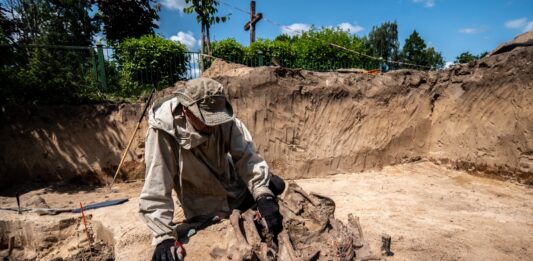 Niemiecka zbrodnia w Borównie. Odkryto masowy grób (GALERIA) prace badawcze