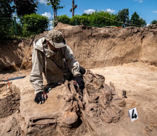 Niemiecka zbrodnia w Borównie. Odkryto masowy grób (GALERIA) prace badawcze