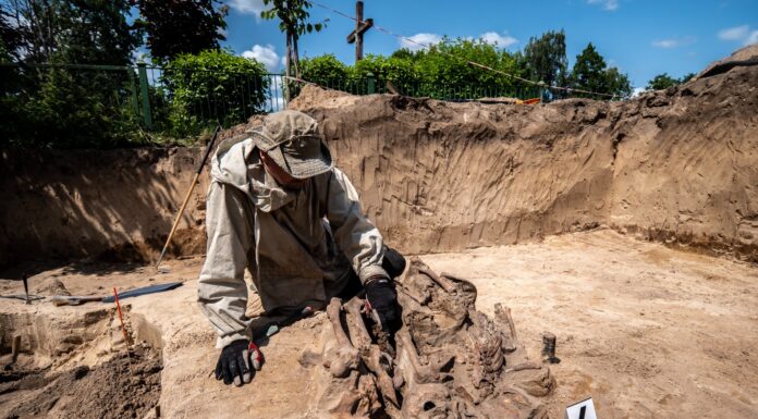 Niemiecka zbrodnia w Borównie. Odkryto masowy grób (GALERIA) prace badawcze