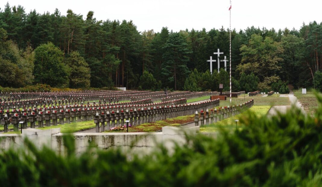 Widok na cmentarz w Palmirach fot. Jakub Celej