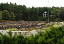 Powracamy po swoich. Kolejny etap prac w Palmirach odsłonił jamy grobowe Widok na cmentarz w Palmirach fot. Jakub Celej
