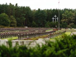 Powracamy po swoich. Kolejny etap prac w Palmirach odsłonił jamy grobowe Widok na cmentarz w Palmirach fot. Jakub Celej