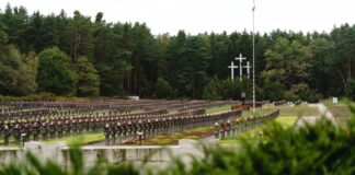 Powracamy po swoich. Kolejny etap prac w Palmirach odsłonił jamy grobowe Widok na cmentarz w Palmirach fot. Jakub Celej