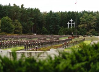 Powracamy po swoich. Kolejny etap prac w Palmirach odsłonił jamy grobowe Widok na cmentarz w Palmirach fot. Jakub Celej