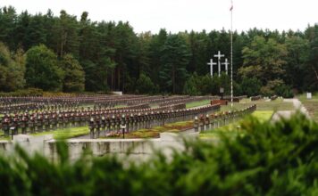 Powracamy po swoich. Kolejny etap prac w Palmirach odsłonił jamy grobowe Widok na cmentarz w Palmirach fot. Jakub Celej