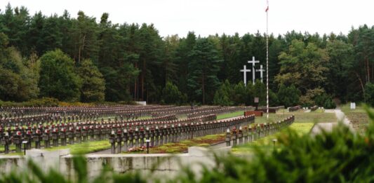 Powracamy po swoich. Kolejny etap prac w Palmirach odsłonił jamy grobowe Widok na cmentarz w Palmirach fot. Jakub Celej
