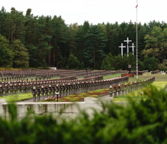 Powracamy po swoich. Kolejny etap prac w Palmirach odsłonił jamy grobowe Widok na cmentarz w Palmirach fot. Jakub Celej