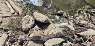 Warszawa. Miecz znaleziony w Wiśle przez wędkarza (GALERIA) Miecz w chwili znalezienia