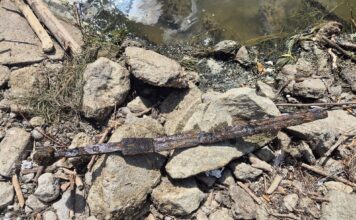 Warszawa. Miecz znaleziony w Wiśle przez wędkarza (GALERIA) Miecz w chwili znalezienia