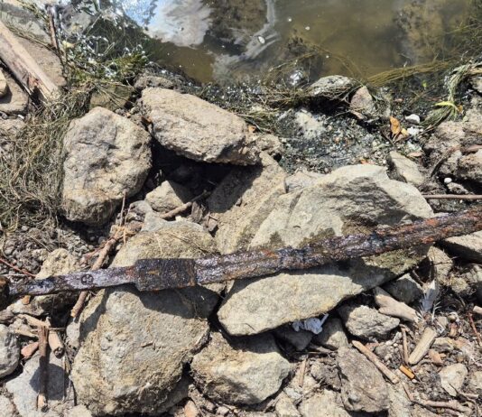 Warszawa. Miecz znaleziony w Wiśle przez wędkarza (GALERIA) Miecz w chwili znalezienia