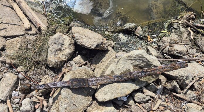 Warszawa. Miecz znaleziony w Wiśle przez wędkarza (GALERIA) Miecz w chwili znalezienia