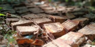 Depozyt polskiej amunicji Mauser! (GALERIA) Depozyt amunicji