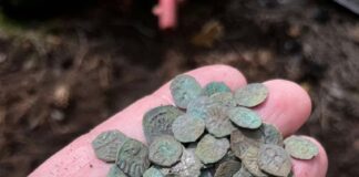 Niesamowity skarb średniowiecznych denarów Jagiellońskich! (GALERIA) Odkryty w okolicy Żmigrodu skarb denarów Jagiellońskich
